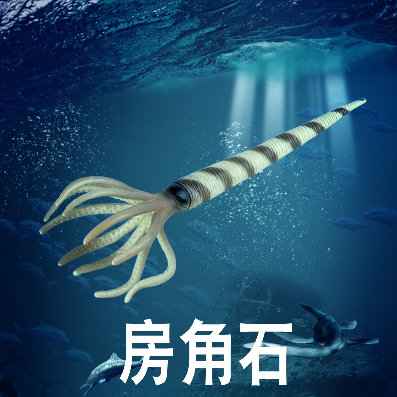 林畅模玩奥陶纪史前海洋生物房角石模型儿童仿真动物玩具远古巨兽