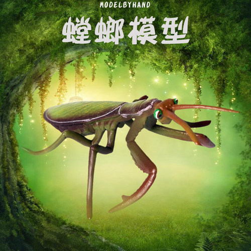 林畅模玩螳螂模型仿真昆虫玩具