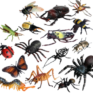 林畅模玩儿童昆虫模型玩具甲壳虫独角仙大兜虫楸型虫天牛仿真动物