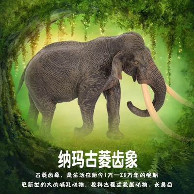 林畅模玩儿童史前动物玩具纳玛古菱齿象模型仿真远古大象冰河时期