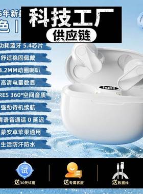 深圳瑞禾科技蓝牙耳机新款半式短柄降噪无线耳机高音质长续航佩戴