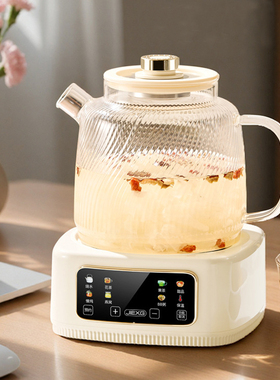 德国JIEXG全玻璃养生壶多功能办公室花茶壶小型恒温家用电热水壶