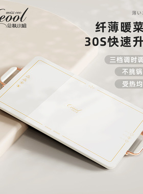 2026新款暖菜板加热多功能家用餐桌智能调节加热恒温保温板热菜板