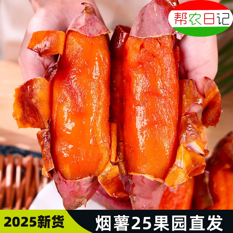 帮农日记2025新货烟薯25烤红薯专用