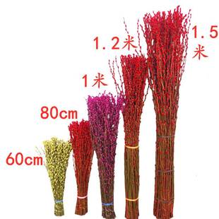 银柳真花鲜枝年宵花卉红色干花福桶银柳水培植物鲜花客厅室内装 饰