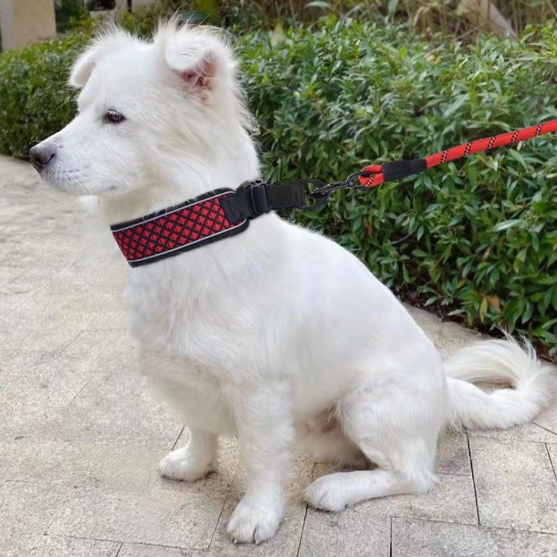 狗牵引绳遛狗绳小型犬p绳反光狗绳子宠物项圈防挣脱泰迪金毛狗链