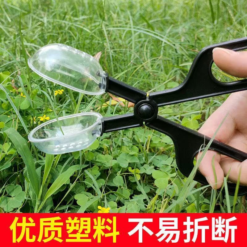 爬虫喂食夹子昆虫夹蜥蜴面包虫蟋蟀饲料捕捉昆虫虫捕捉钳爬虫喂食
