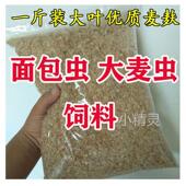 小麦麸皮新鲜喂鸡鸭鹅黄粉虫面包虫粗细饲料原料钓鱼打窝饵料热敷