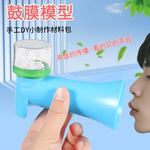 幼儿园科学实验声音传播人体耳朵鼓膜模型大小班早教物理教学教具