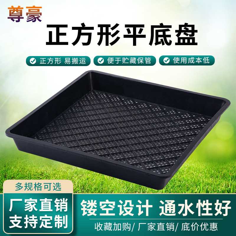 塑料育苗盘穴盘托盘多肉植物叶插育苗盆芽苗菜培育盒托盘加厚