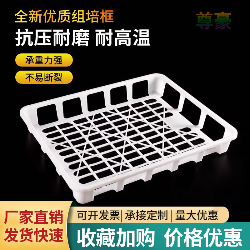 耐高温组培周转盘组培箱框组培专用托盘优质聚乙烯组培筐塑料托架