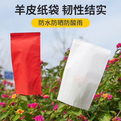 羊皮纸袋硫酸纸袋授粉育种套袋