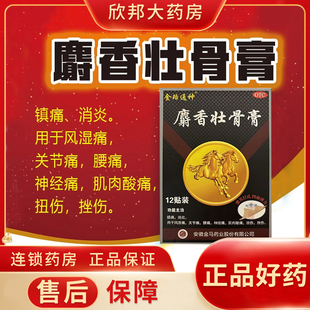金珞通神麝香壮骨膏贴膏12贴 神经痛关节痛腰痛扭伤挫伤肌肉疼痛