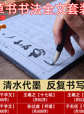 草书水写王羲之十七帖尺牍智永怀素于右任千字文孙过庭书谱水写布毛笔字帖套装描红临摹清水重复书写初学