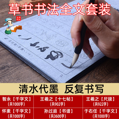 十七帖尺牍于右任描红临摹水写布