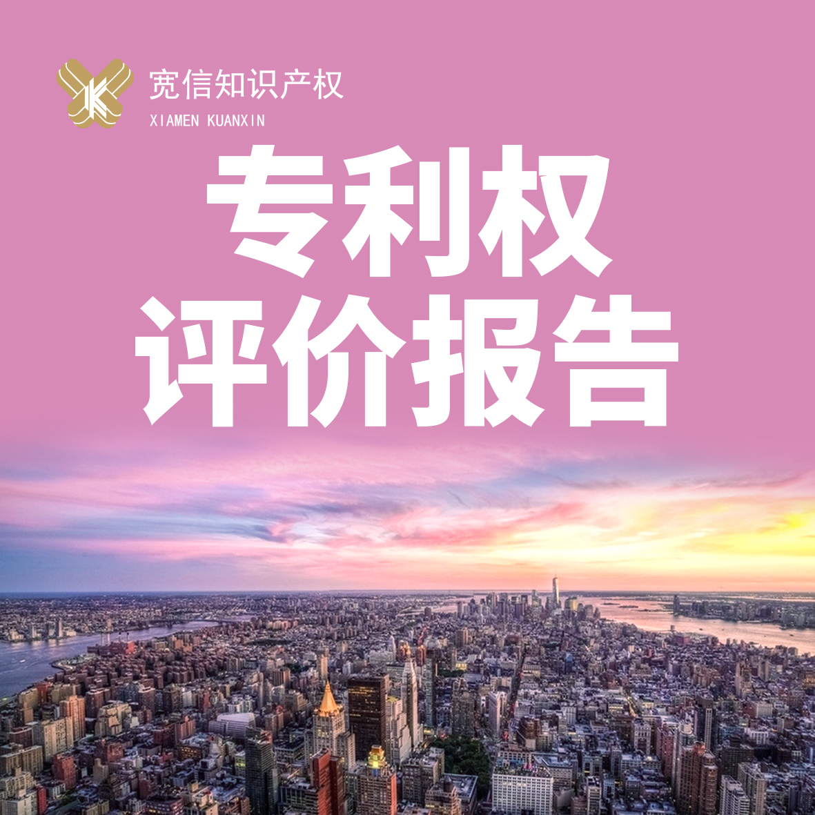 专利权新款评价报告