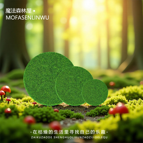 仿真草坪桌面微景观装饰品