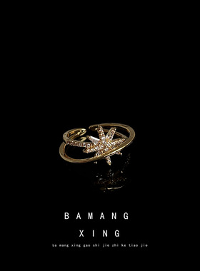 日系coopkoop微镶锆石芒星戒指 镀14k个性双层开口可调节指环