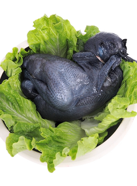 新鲜现杀农村白凤鸡乌骨鸡