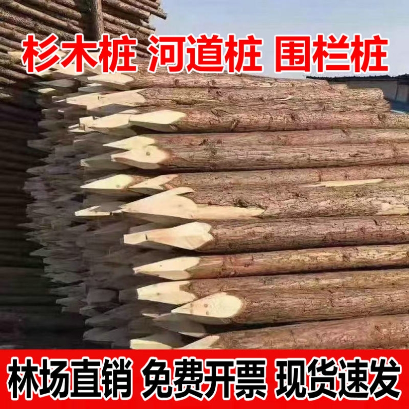 木桩立柱尖头废旧木桩围栏河道工程实木户外营地园林河道工程护河