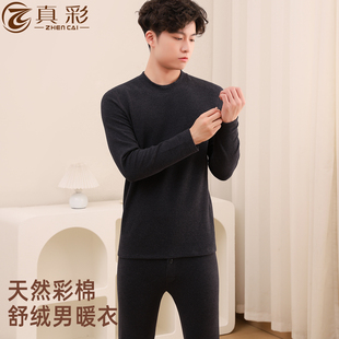 真彩双色彩棉磨绒毛中领男保暖内衣套装彩棉舒绒纯棉秋冬打底衣裤