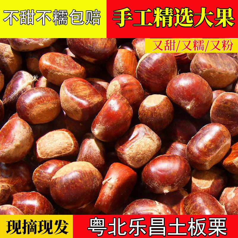 野生老树新鲜生板栗甘栗毛栗正宗广东乐昌黄圃白石特产5斤装包邮