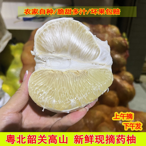 粤北高山老树柚药柚子