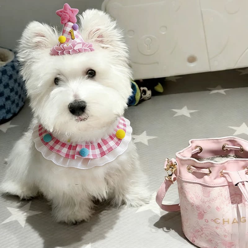 狗狗口水巾小型犬围脖小狗围兜幼犬生日派对绑带款彩虹小豆高颜值图片