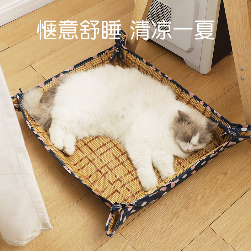 养宠清凉解决燥热烦恼