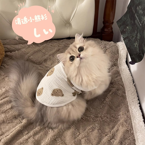 猫咪衣服防掉毛薄款透气夏天专用幼猫休闲吊带外出防脏遛猫宠物衣