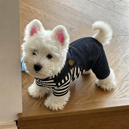 狗狗衣服2026新款秋冬装比熊泰迪秋季牛仔小型犬条纹背带裤西高地