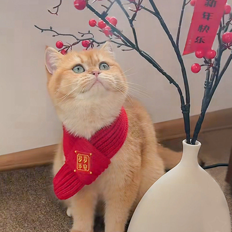 猫咪围脖宠物新年大红色喜庆编织围巾冬季保暖舒适拍照毛线小项圈