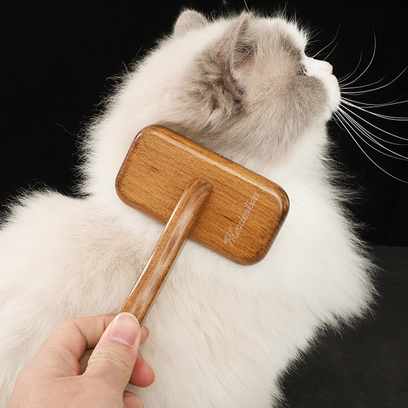 猫梳毛专用梳子去浮毛猫咪日常清洁蓬松毛发木质舒适缅因猫德文猫,宠物/宠物食品及用品,猫狗梳子/排梳,淘宝优惠券,粉丝福利购,淘宝优惠卷