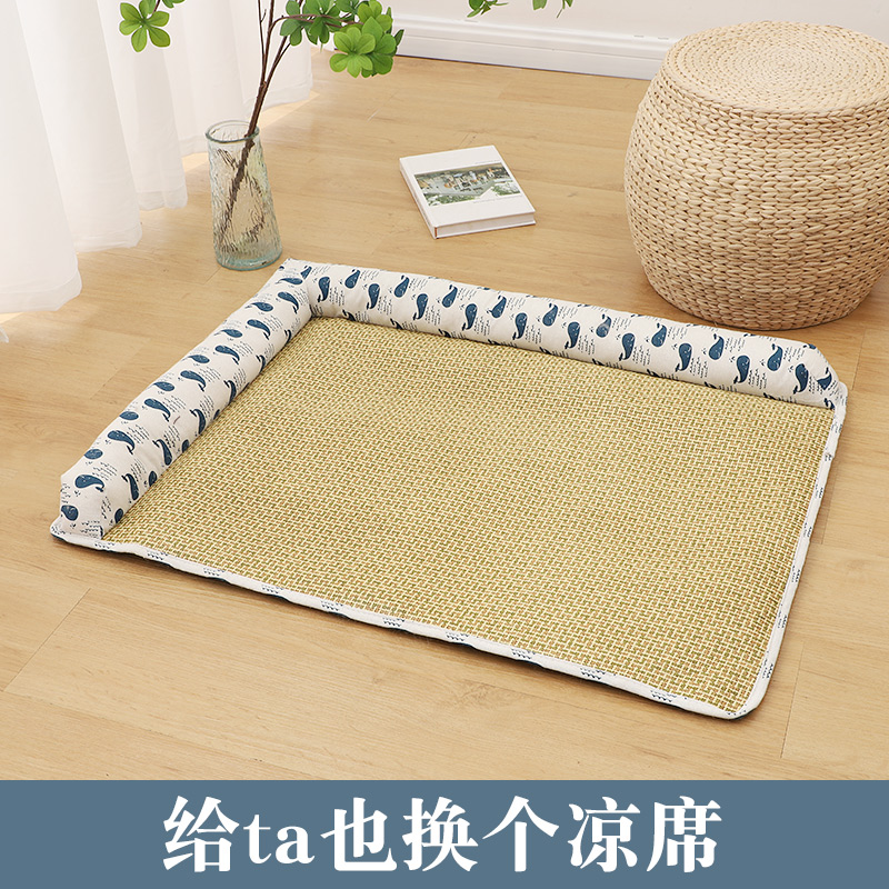 猫咪也需要清凉度过这个夏天