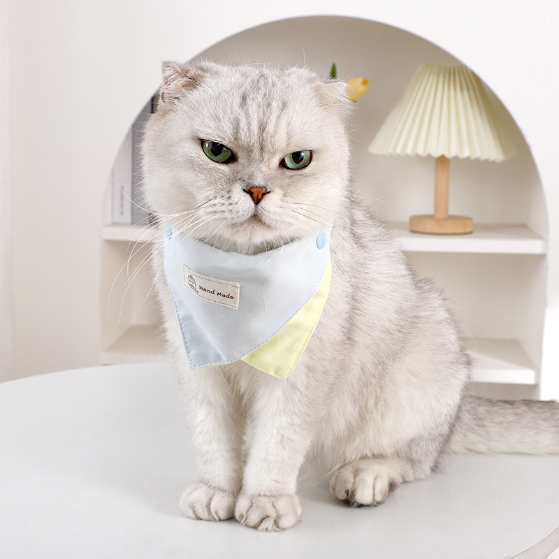 猫咪小口水巾围脖围兜金渐层外出户外可爱遛猫可调节装扮纯色配饰