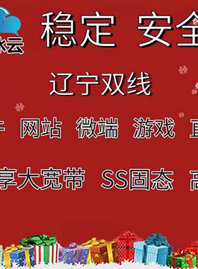 辽宁联通国内高防云主机网站游戏服务器高防秒解双线