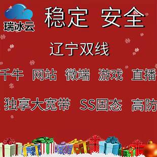 辽宁联通国内高防云主机网站游戏服务器高防秒解双线