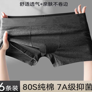 2025新款 纯棉透气四角短裤 衩男式 男士 透气内裤 春秋季 平角大码 内裤