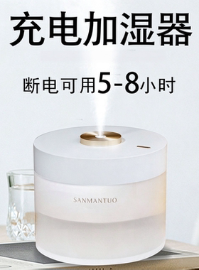 水喷壶烟供施食喷雾迷你便携车载家用室内加湿器净水浇花浇水瓶子