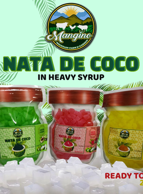 Nata De Coco Small Bites in heavy syrup 240g by Mangino Farm