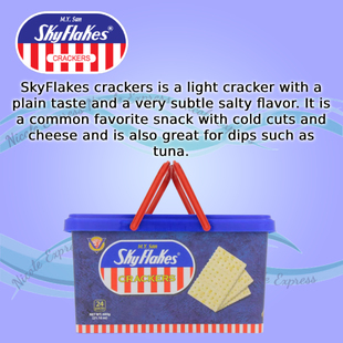 Tub 600g Crackers Skyflakes