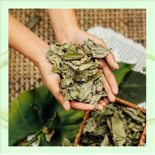Malabon's Best Dried Taro Leaves Laing干香芋头叶菲律宾特色