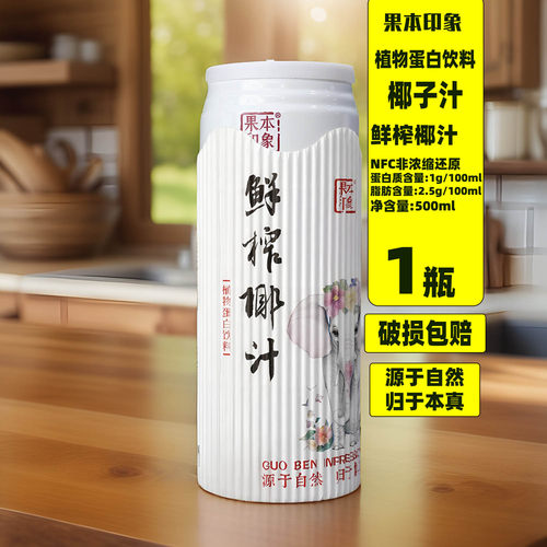 广东椰子汁果本印象拉罐装500ml