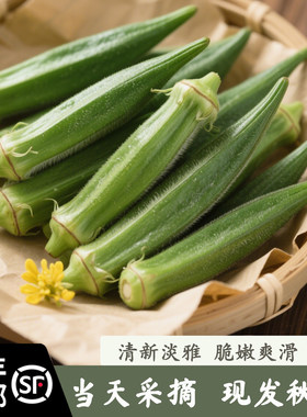 顺丰包邮 秋葵新鲜  黄秋葵洋秋葵洋豆角新鲜蔬菜农家自种