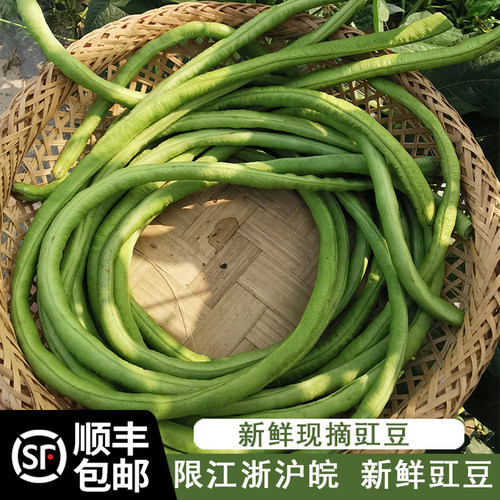大伯农场自种自销豇豆新鲜