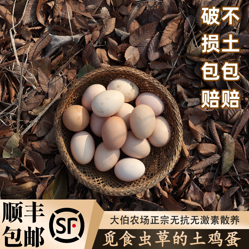 顺丰包邮土鸡蛋农家谷物散养新鲜正宗笨鸡蛋,水产肉类/新鲜蔬果/熟食,鸡蛋,淘宝优惠券,粉丝福利购,淘宝优惠卷