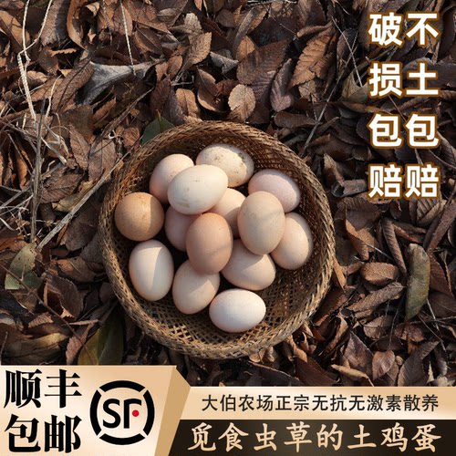 农家放养土鸡蛋无激素色素