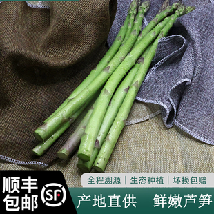 顺丰包邮产地直销 芦笋新鲜 嫩笋尖 青笋 2025年当季时令蔬菜