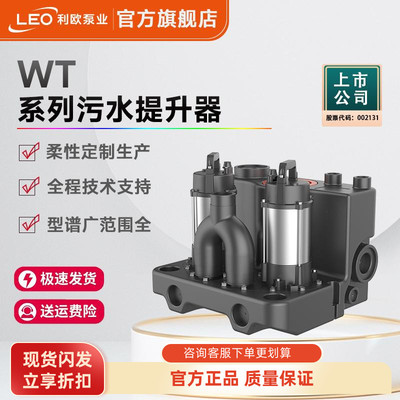 利欧双泵一备一用污水泵