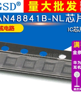WGSD AN48841B-NL芯片 集成电路 IC 芯片